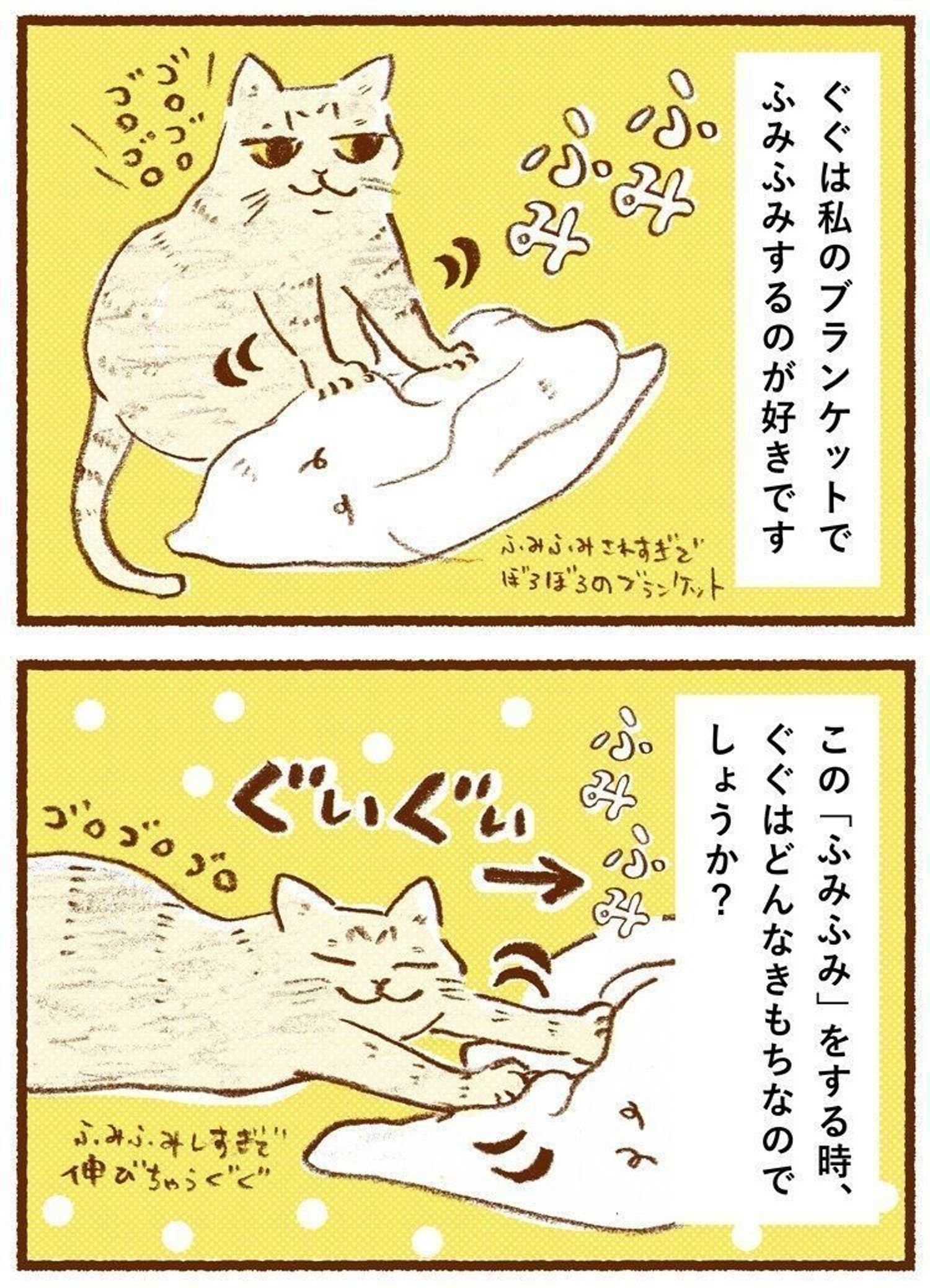 猫のふみふみ行動に隠された本音と危険なストレスサインの真相