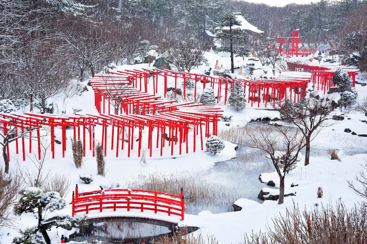 鳥居がいっぱいある神社の真相｜千本鳥居が並ぶ驚愕の理由と全国名所を徹底解説