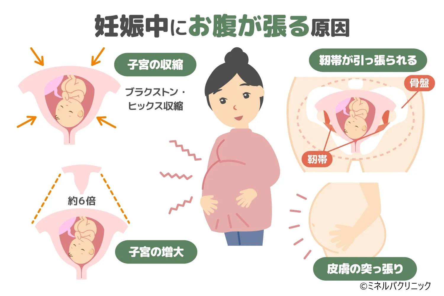 妊婦のお腹の張り危険な兆候は？受診目安と週数別の原因を徹底解説