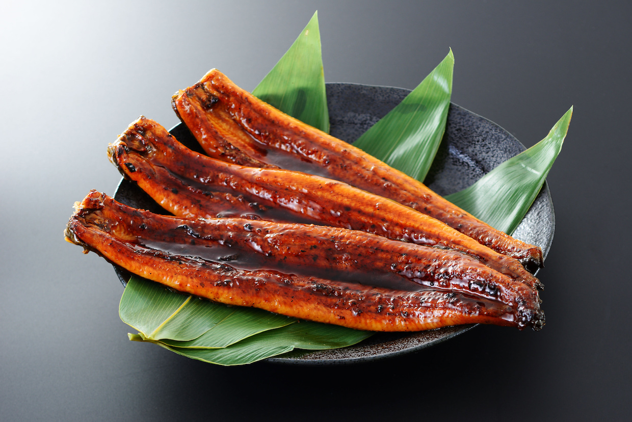 うなぎの旬は夏じゃない？実は秋冬が最も旨い理由と天然養殖の真実