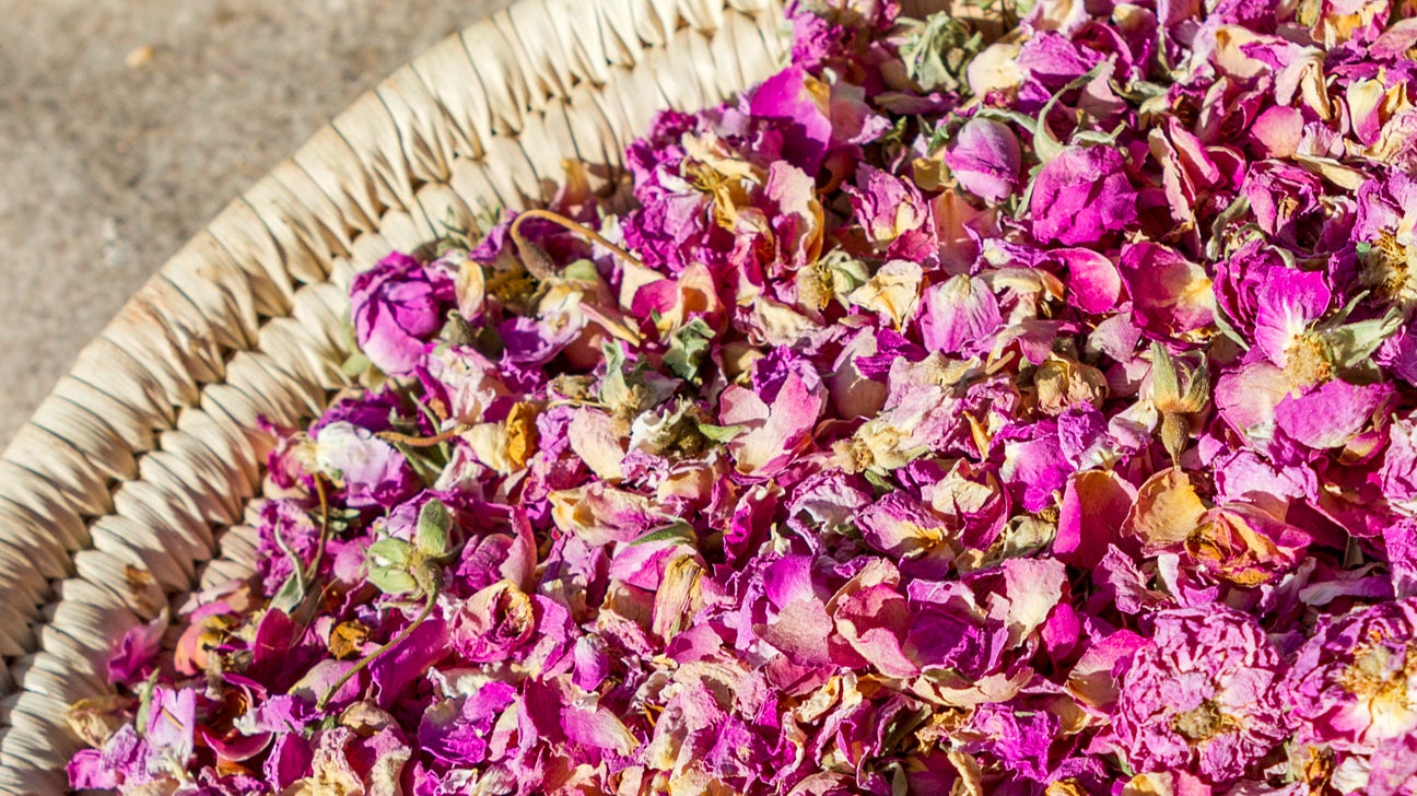 Are Roses Edible for Humans