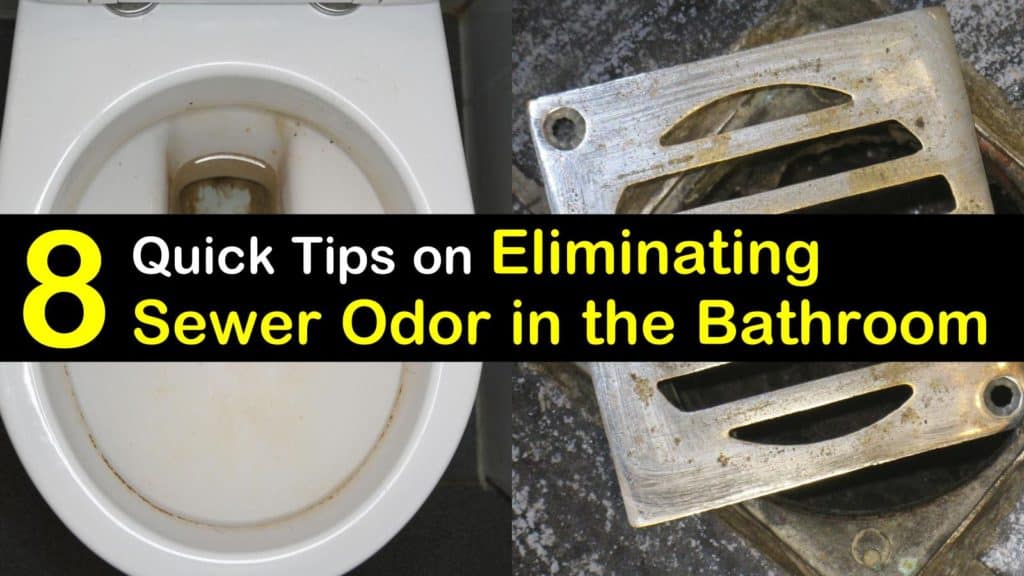 Sewer Gas Odor in Bathroom