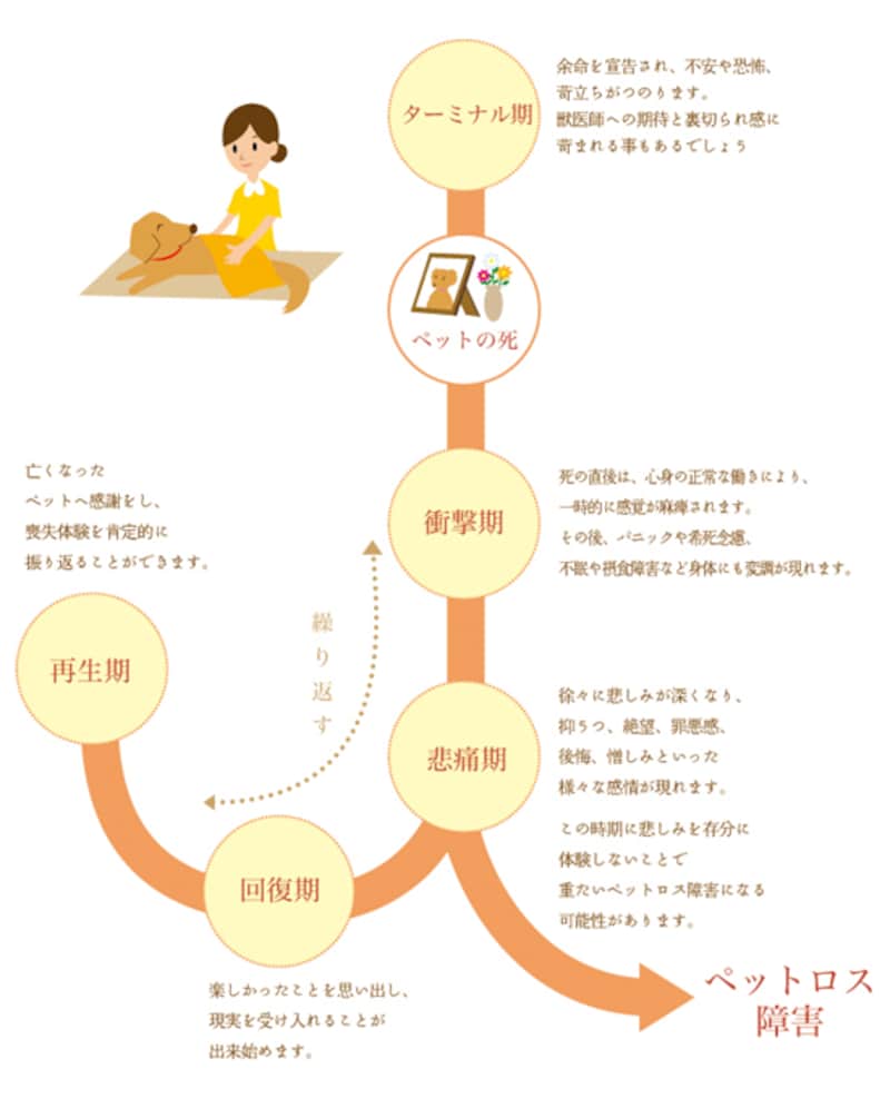 ペットロスの乗り越え方｜後悔や涙を癒やす心のケアと回復の全手順