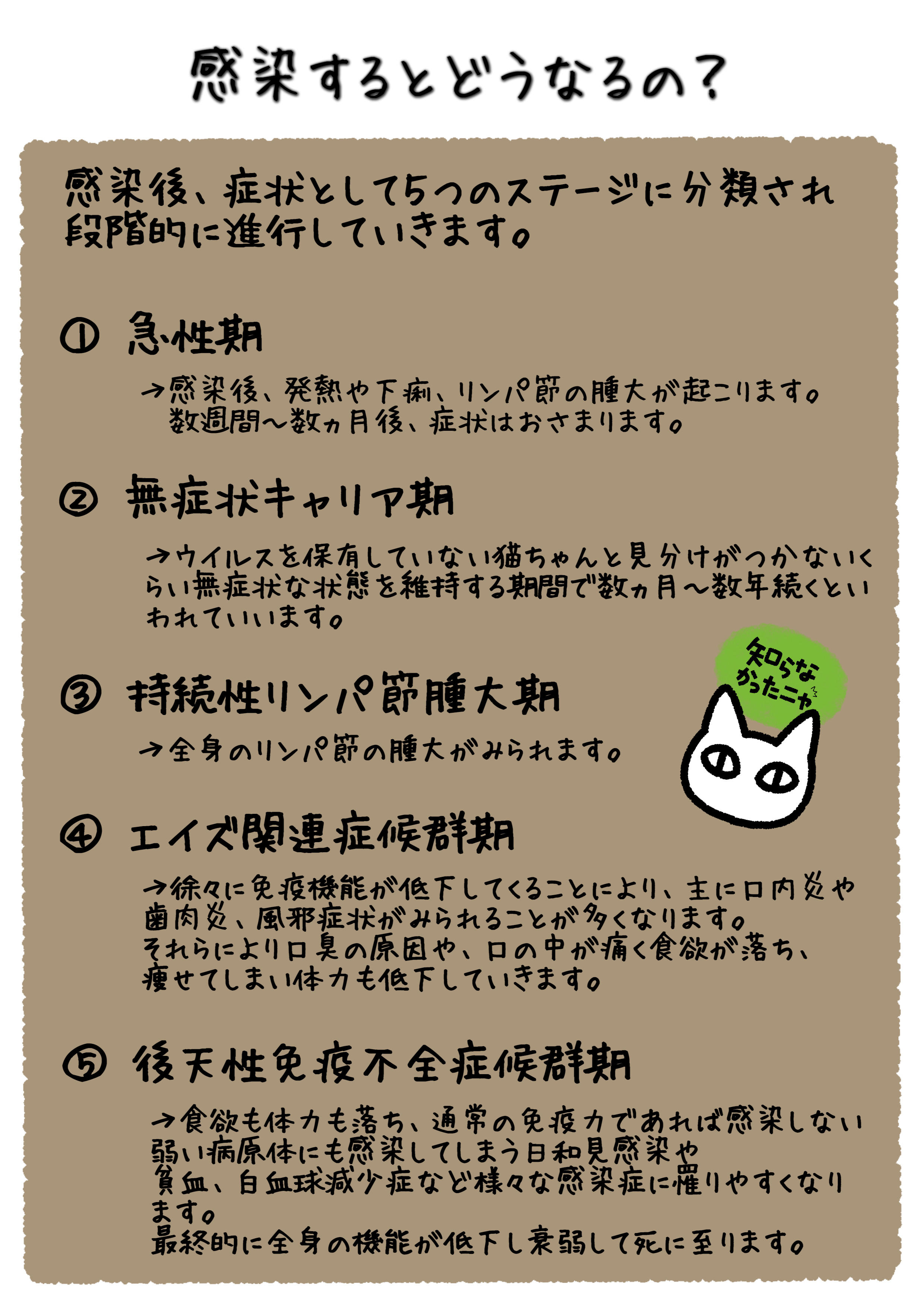 猫エイズとは？感染経路や寿命の真相と発症を防ぐ飼い方ガイド