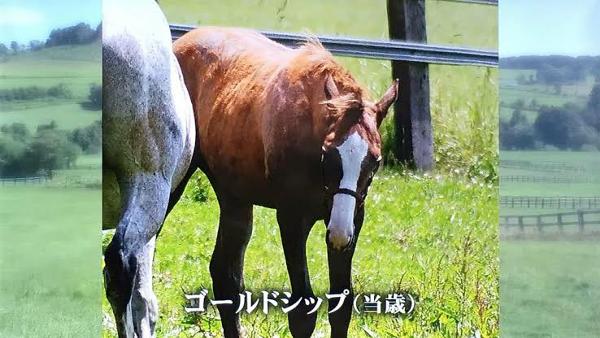ゴールドシップの子供たち！気性遺伝の真相と代表産駒の現在地2026