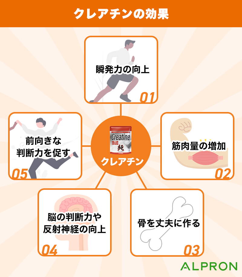 クレアチンを飲むタイミングは筋トレ後？効果を引き出す最新の摂取法