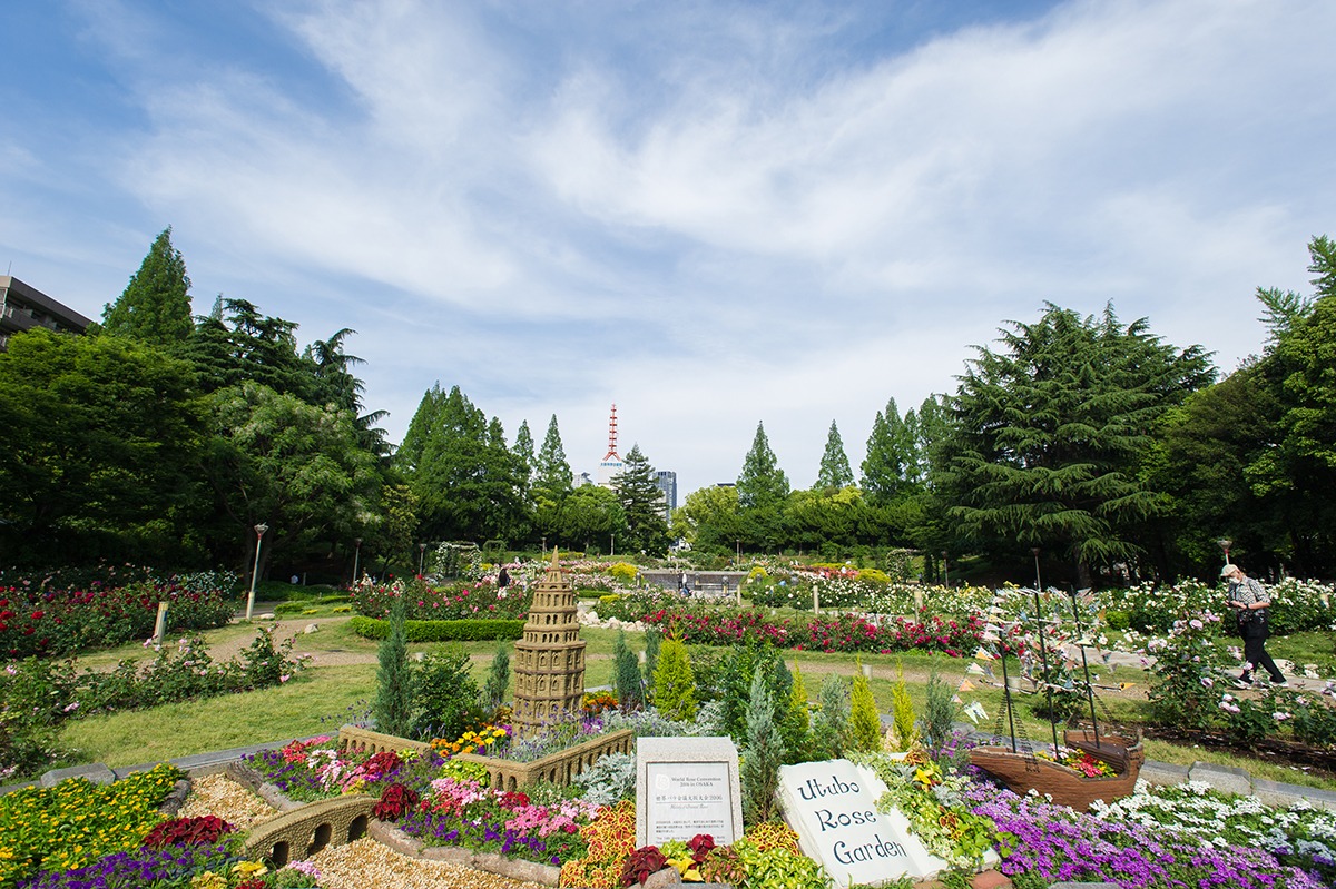 都会のオアシス靱公園の魅力を取材！バラ園とカフェ・テニス最新情報