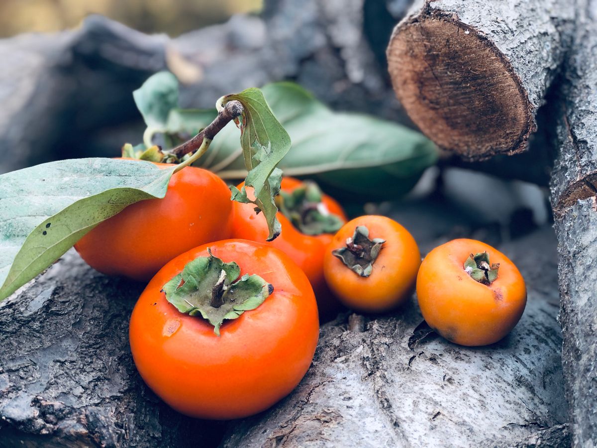 How to Choose a Good Persimmon