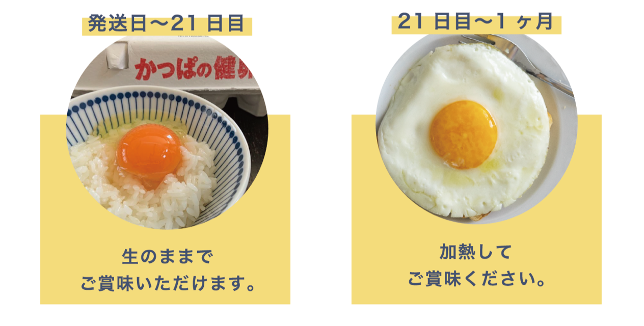生卵の賞味期限切れはいつまで平気？加熱調理の限界と見分け方の全真相