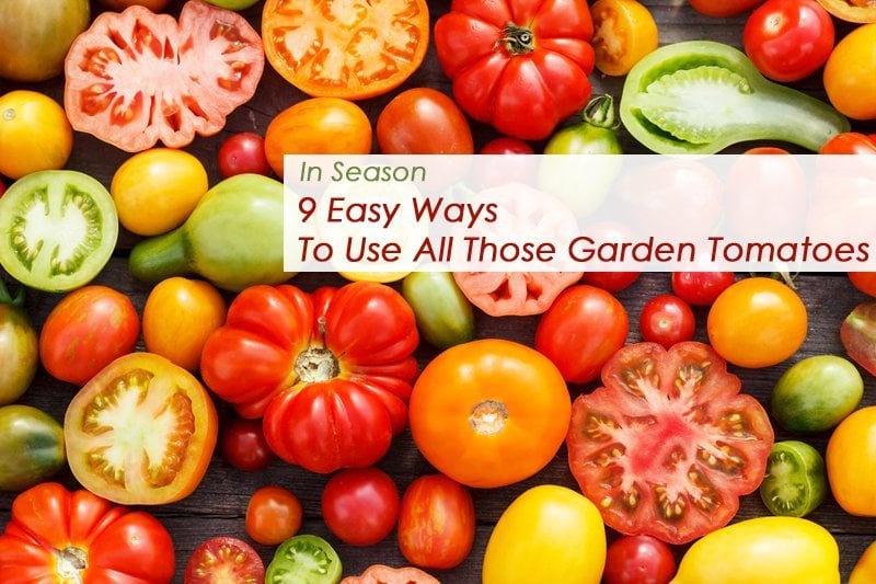 What to Do with All the Tomatoes from My Garden