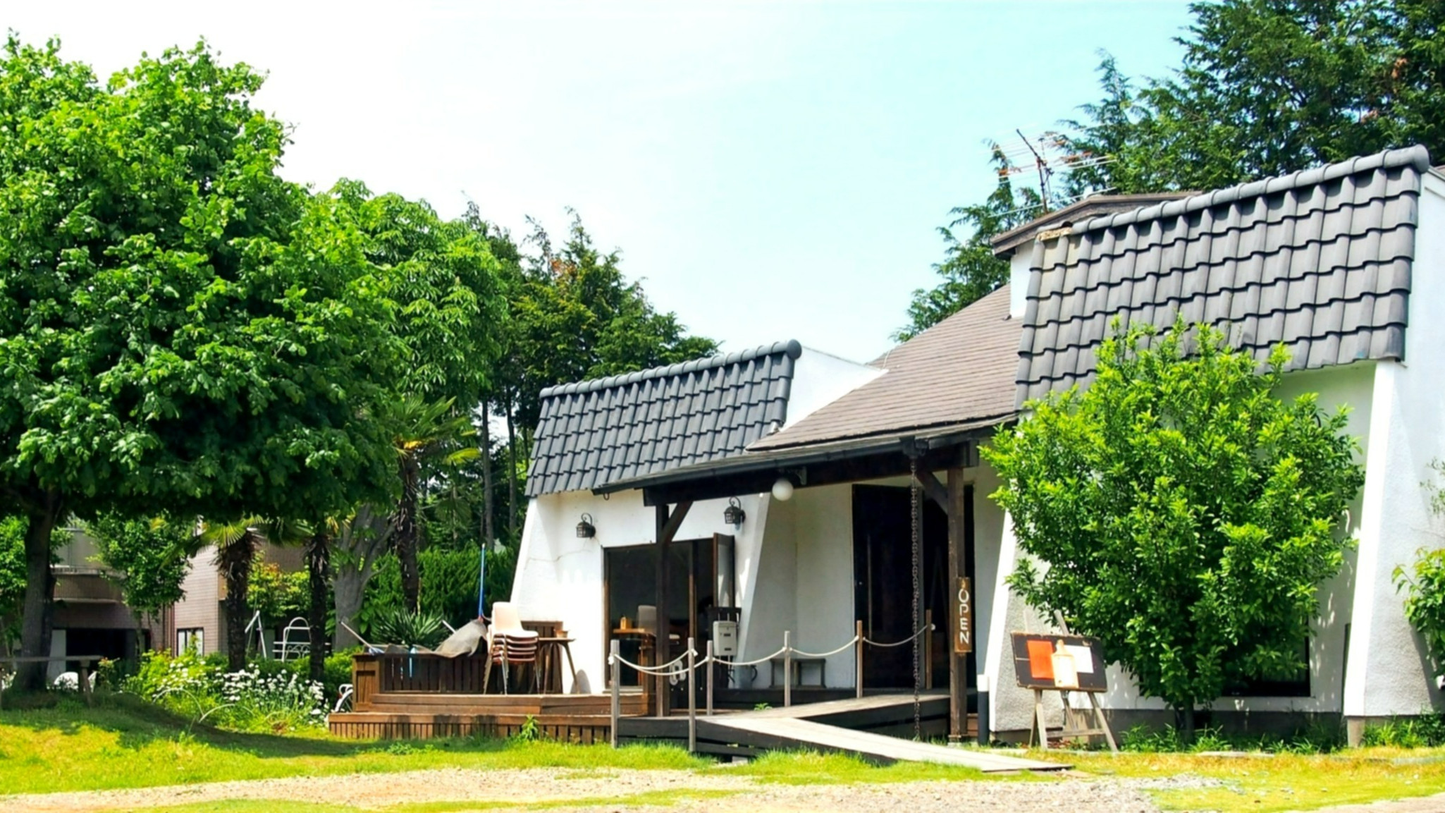 つくば「食堂 花」人気の秘密！絶品定食の評判と最新営業情報を徹底解剖