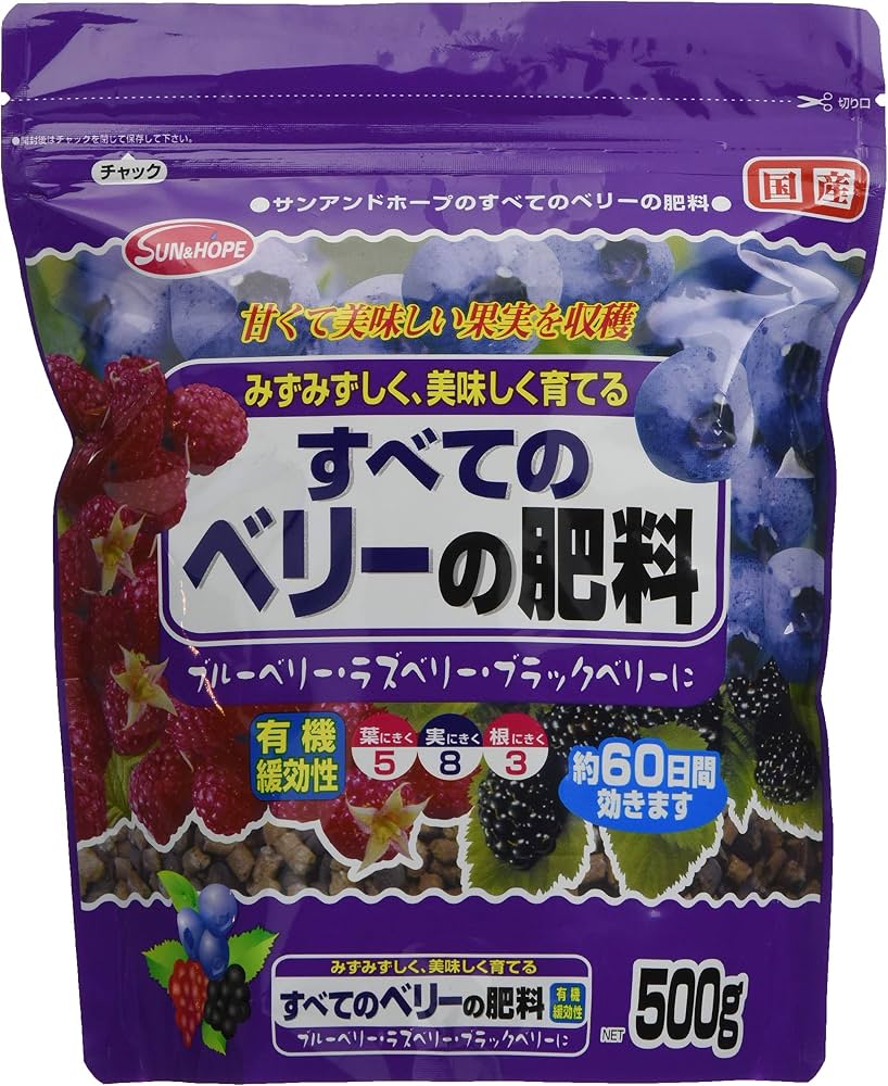 ブラックベリー肥料の正解｜甘い実を大量収穫する2026最新施肥術
