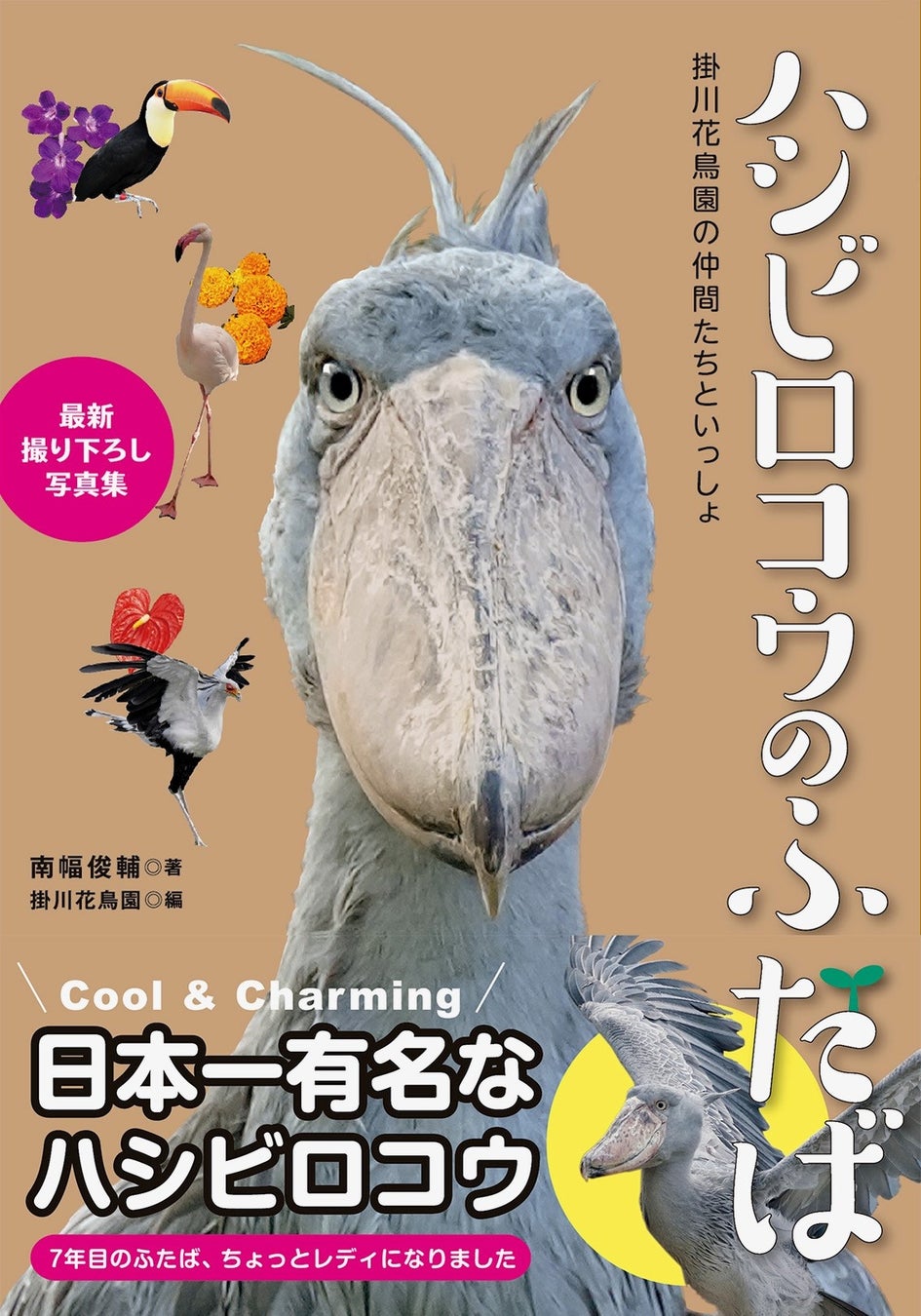 話題の「ふたばちゃん」の真相と経緯とは？2026年現在の最新状況を追う