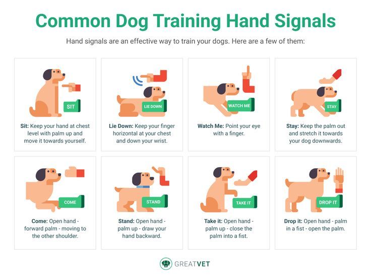 Basic Dog Printable Dog Training Hand Signals Chart Pdf