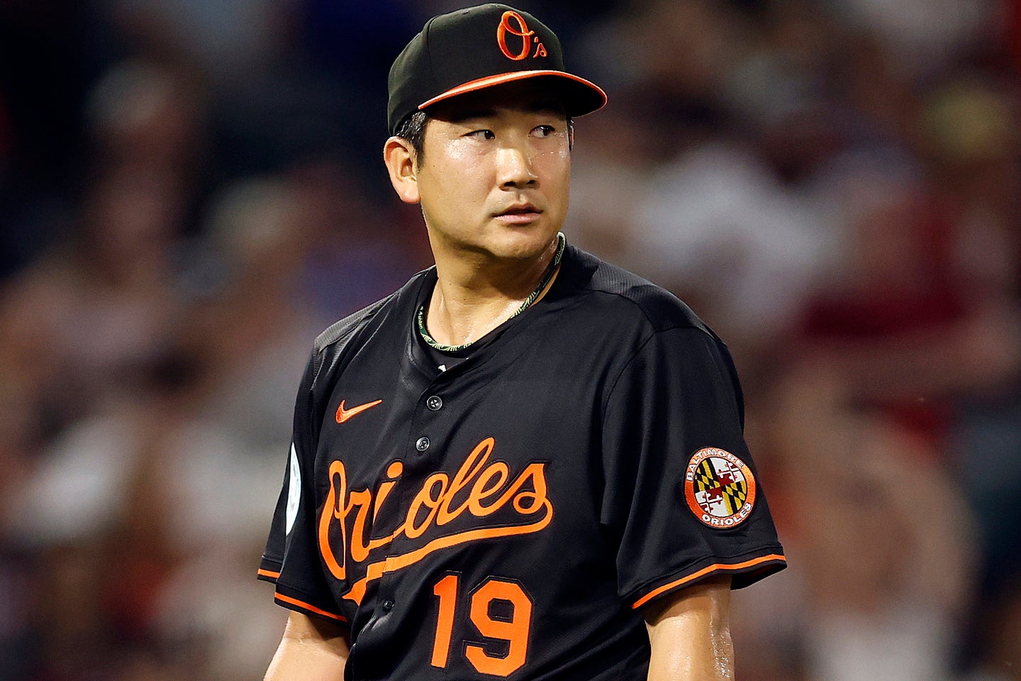 菅野の読み方はどっち？「かんの」「すがの」の違いとルーツを徹底解剖