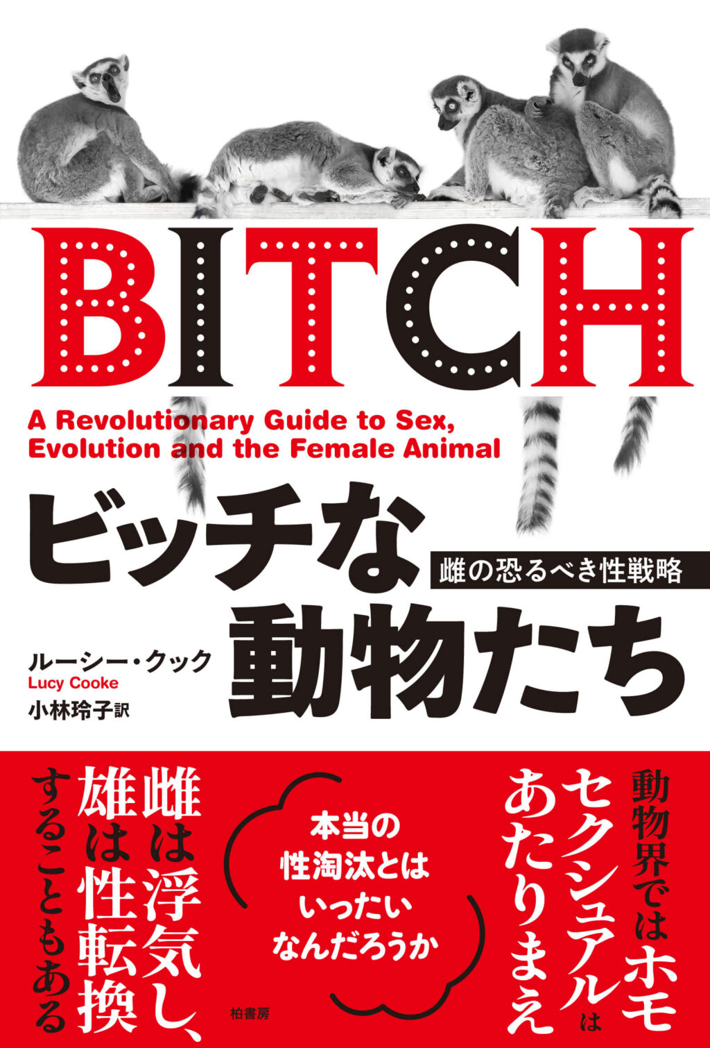 ビッチとは実は性悪女？ヤリマンとの決定的な違いと英語スラングの真相