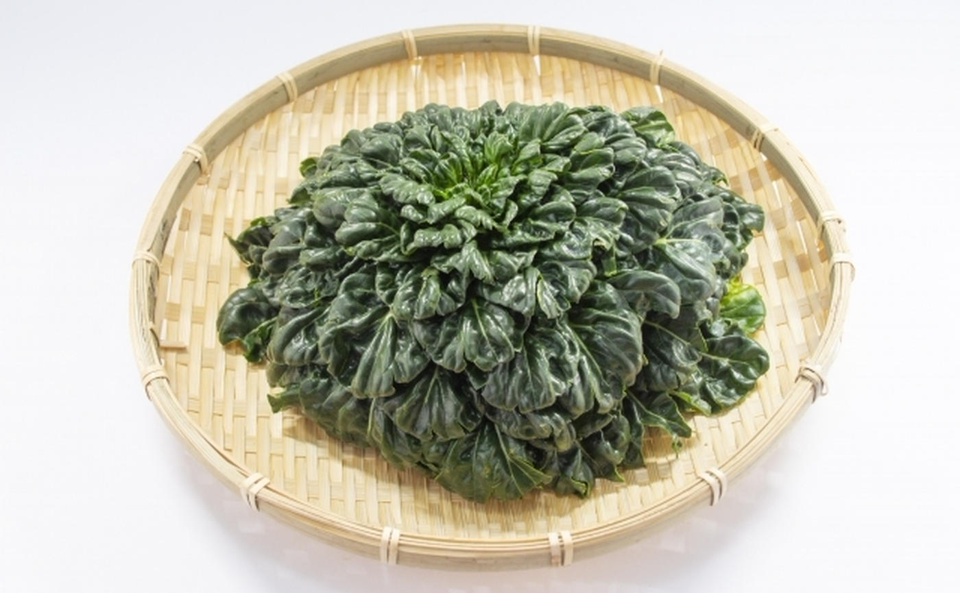 タアサイとは？冬の最強健康野菜の栄養素とプロが明かす絶品レシピ
