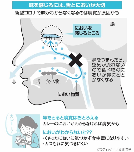鼻詰まってないのに味がしない原因は？受診科と最新治療法【2026】