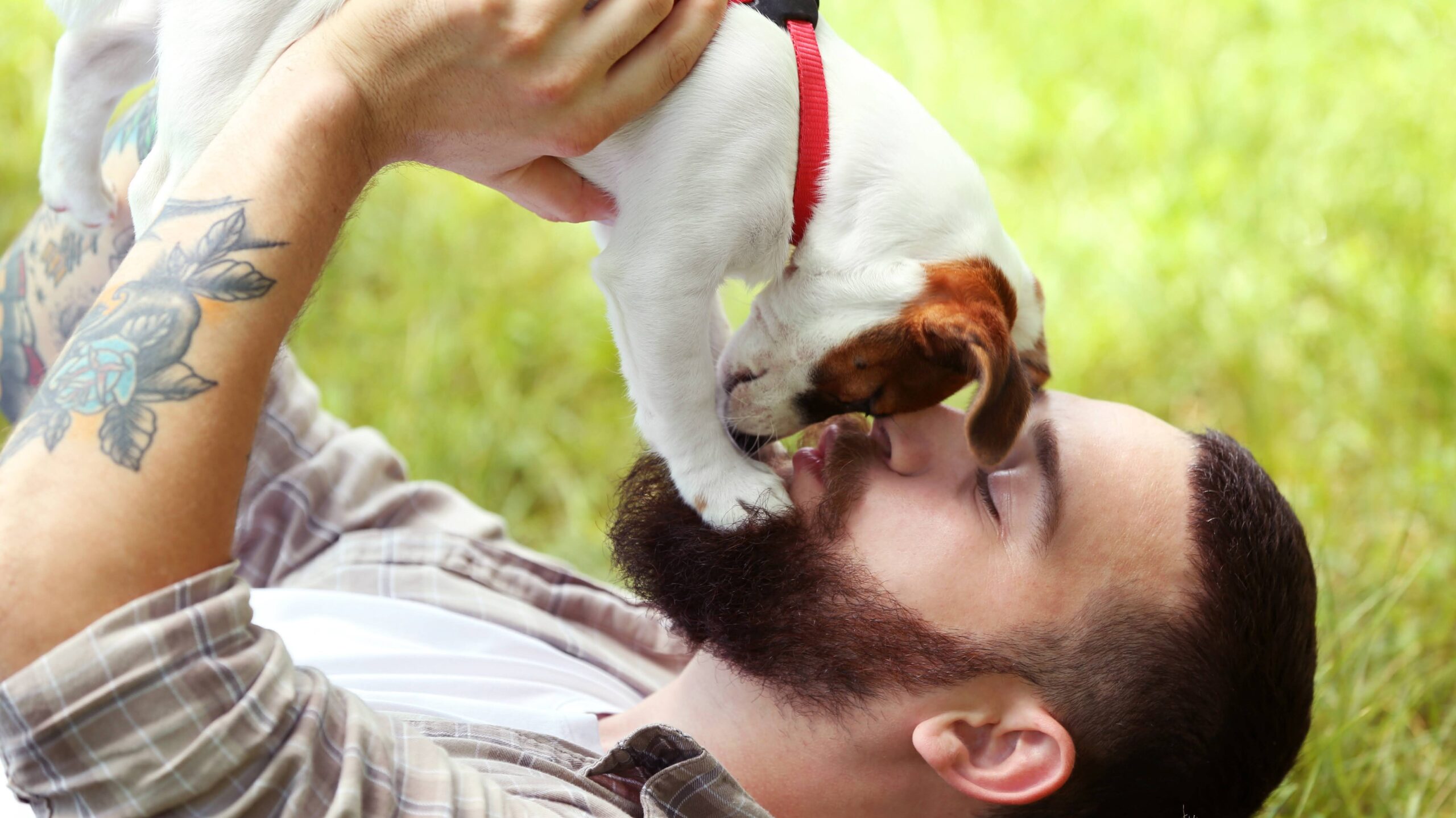 犬が顔を舐めてくる決定的な理由｜愛情表現の裏に潜むリスクと心理