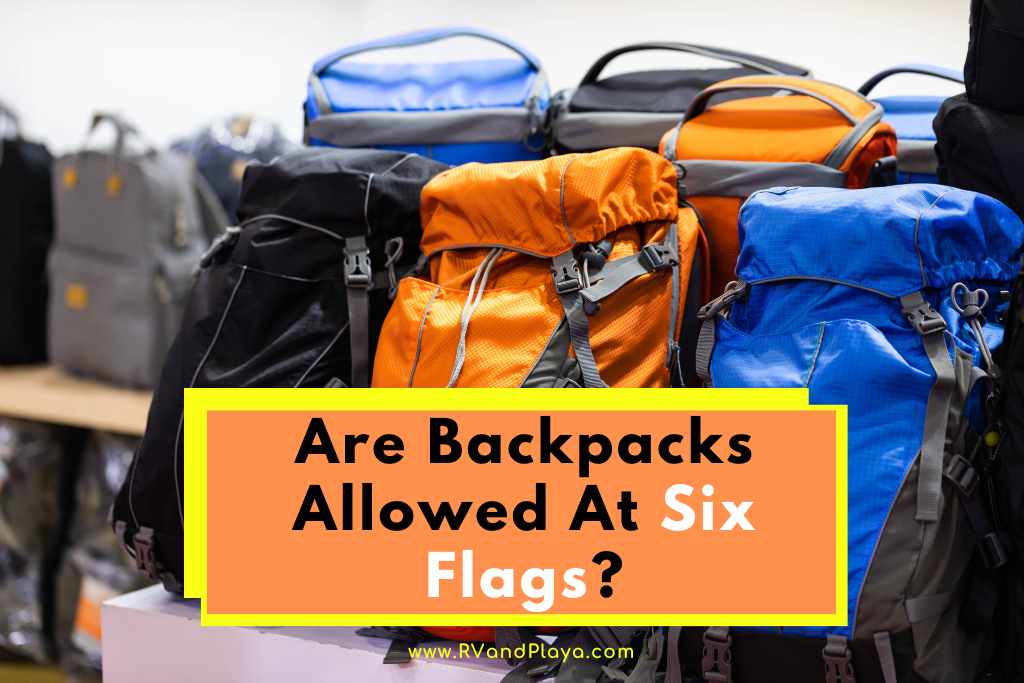 Six Flags Bag Policy California