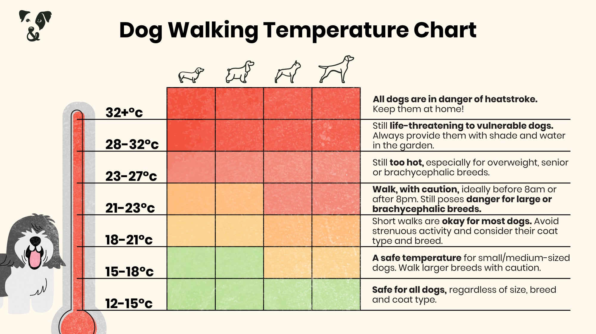 Is It Safe to Walk My Dog Today