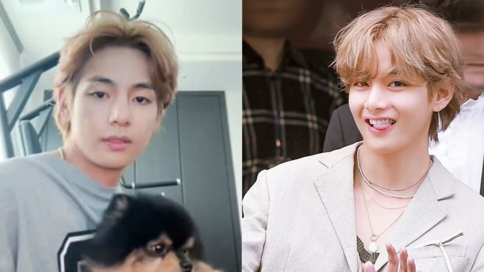 In Which Me and Kim Taehyung Are the Same Person