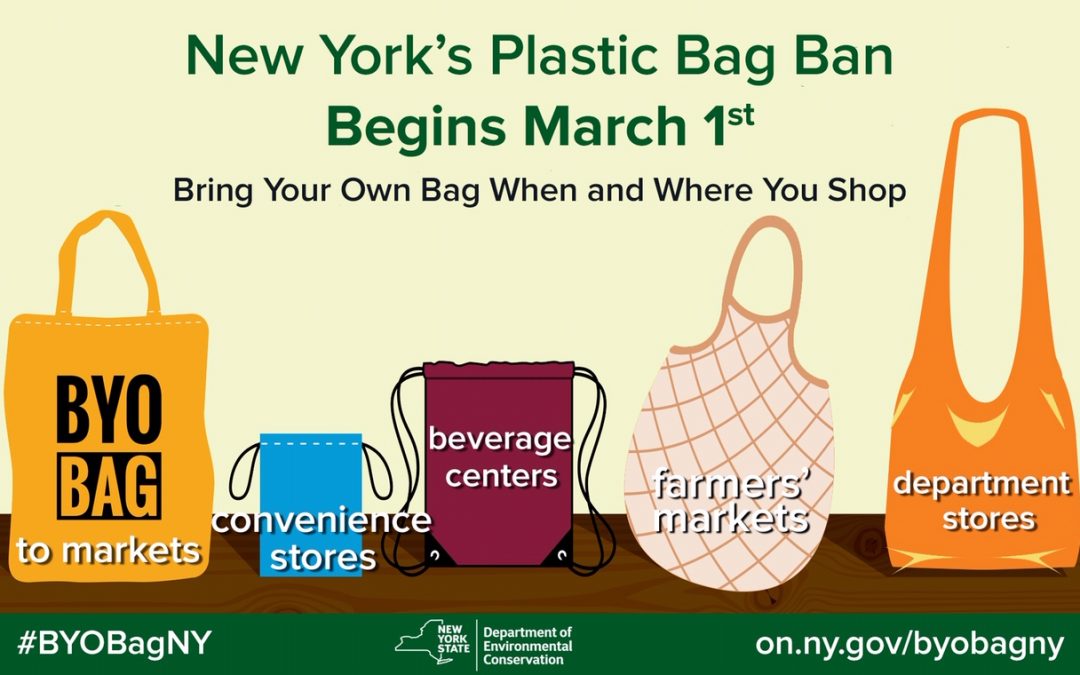 No Plastic Bags Nyc Policy