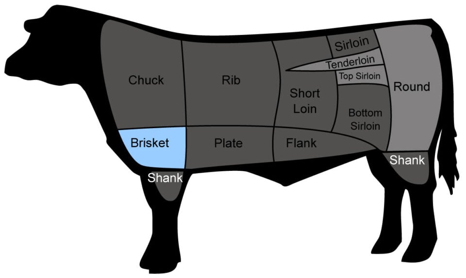 What Part of the Body Is Brisket