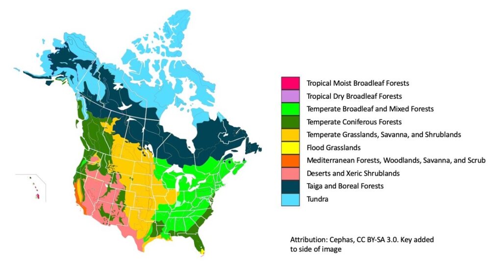 What Biome in North America Has the Highest Biodiversity
