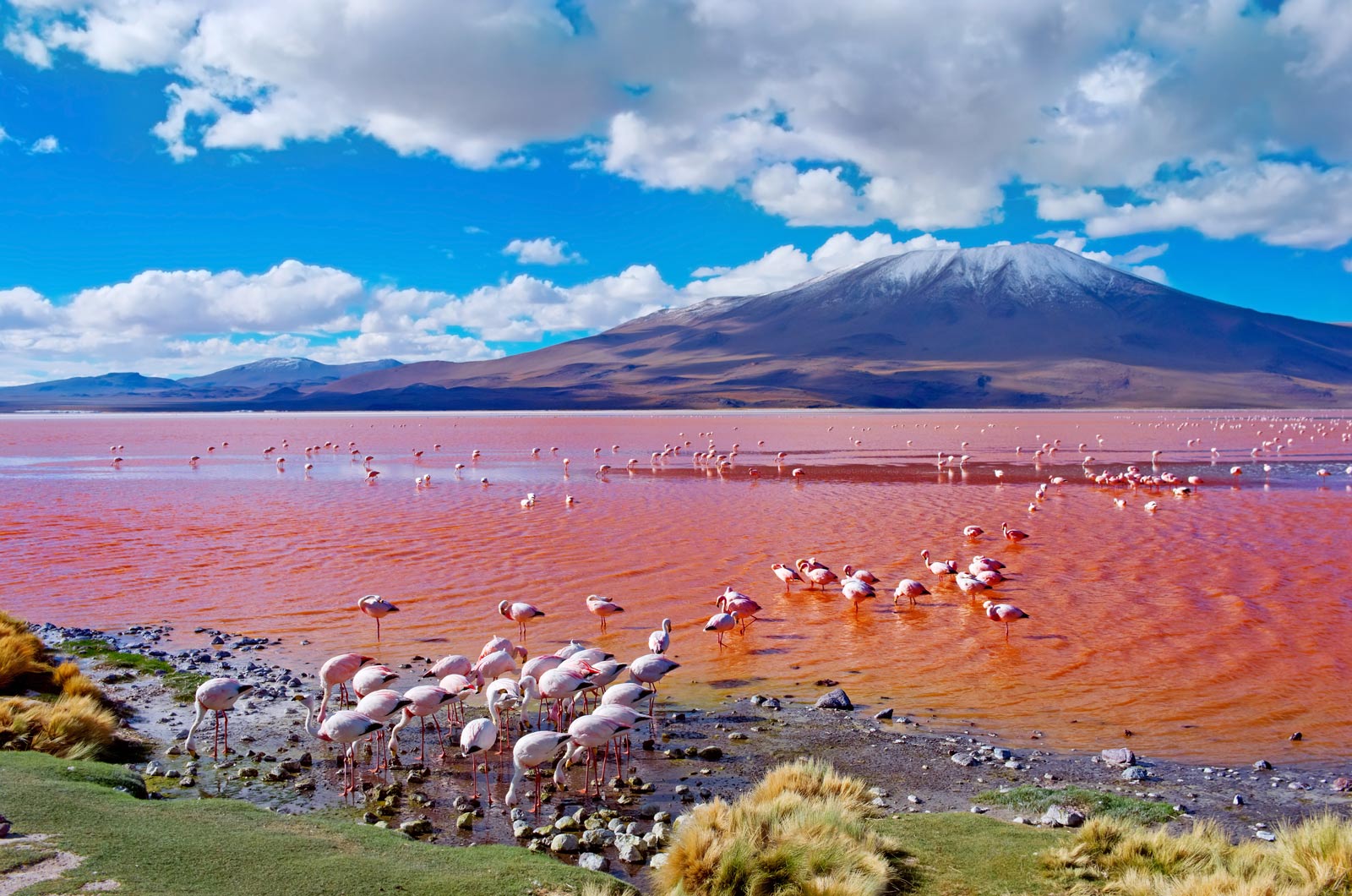 Best Time to Go to Bolivia Salt Flats