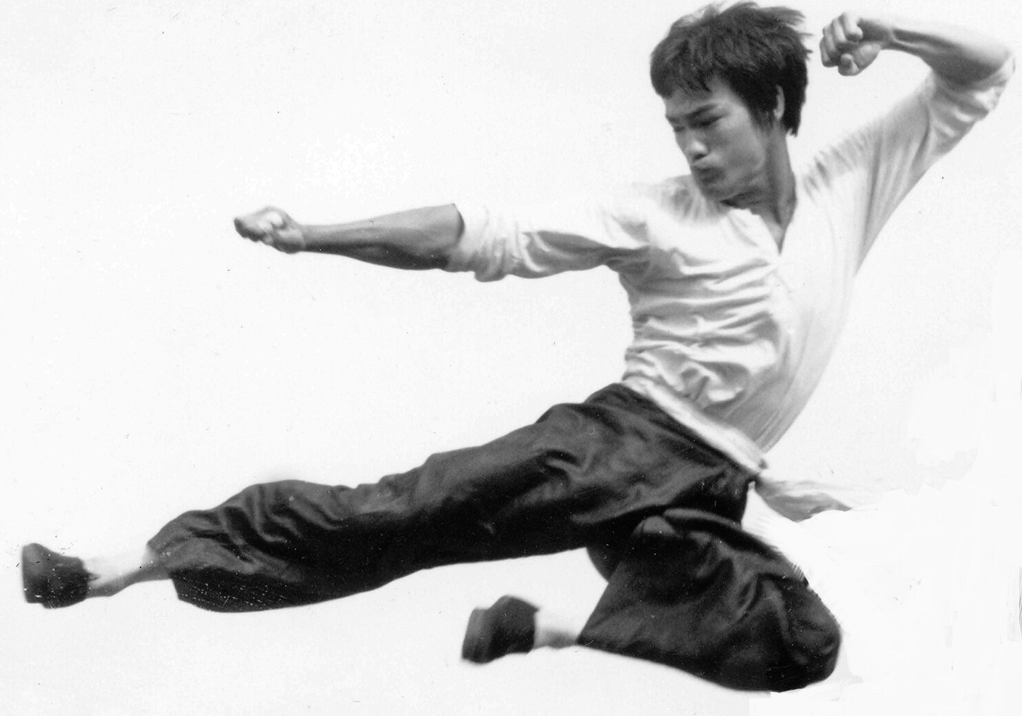 Bruce Lee Martial Arts Style