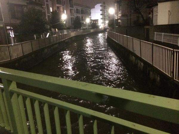 【2026年最新】善福寺川の氾濫リスクと都市型水害のリアル：豪雨時代を生き抜くための防災最前線