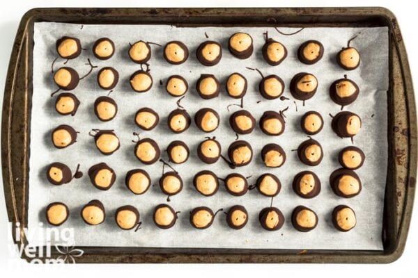 How to Store Buckeyes