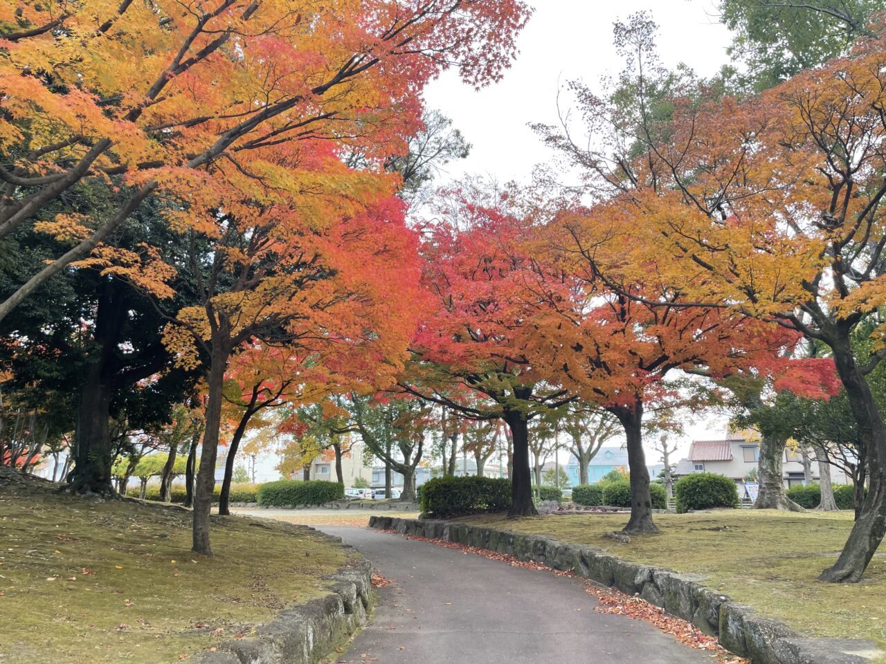 【2026年最新】大垣市・原崎公園の魅力と駐車場混雑の回避術