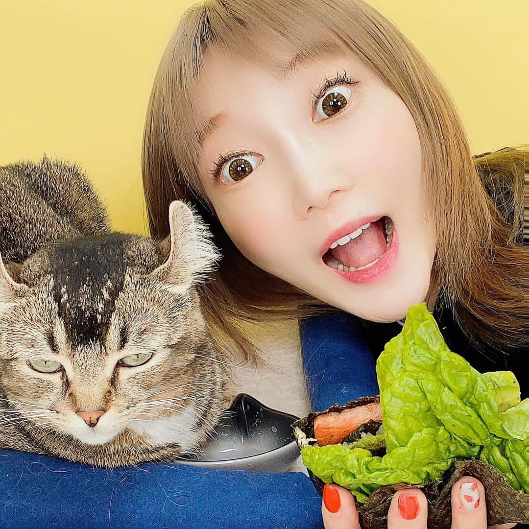 木下ゆうかの猫投げ騒動とは？炎上理由と虐待疑惑の真相を徹底解説