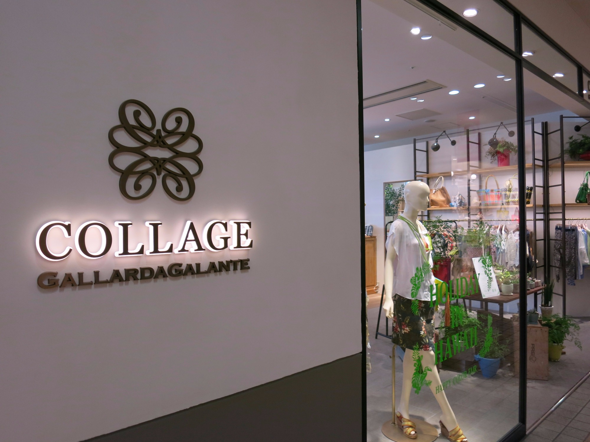 コラージュガリャルダガランテ店舗はどこ？激減の真相と全国取扱網