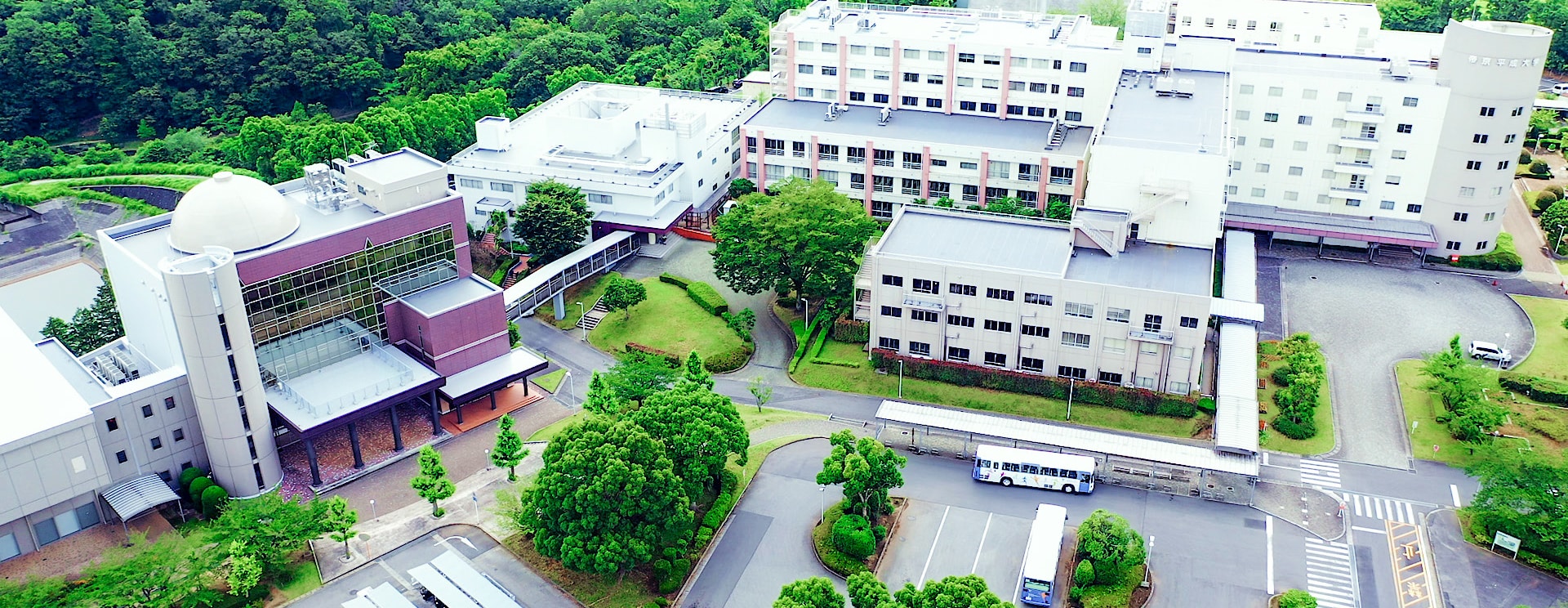 帝京平成大学千葉キャンパスの今｜学部偏差値と池袋との違いを徹底解説