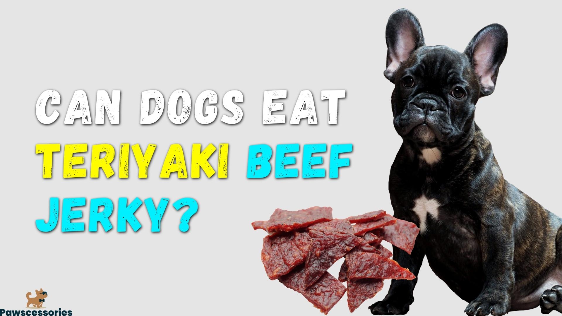 Can Dogs Eat Jack Link's Teriyaki Beef Jerky