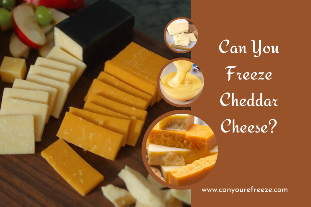 Can I Refreeze Cheese