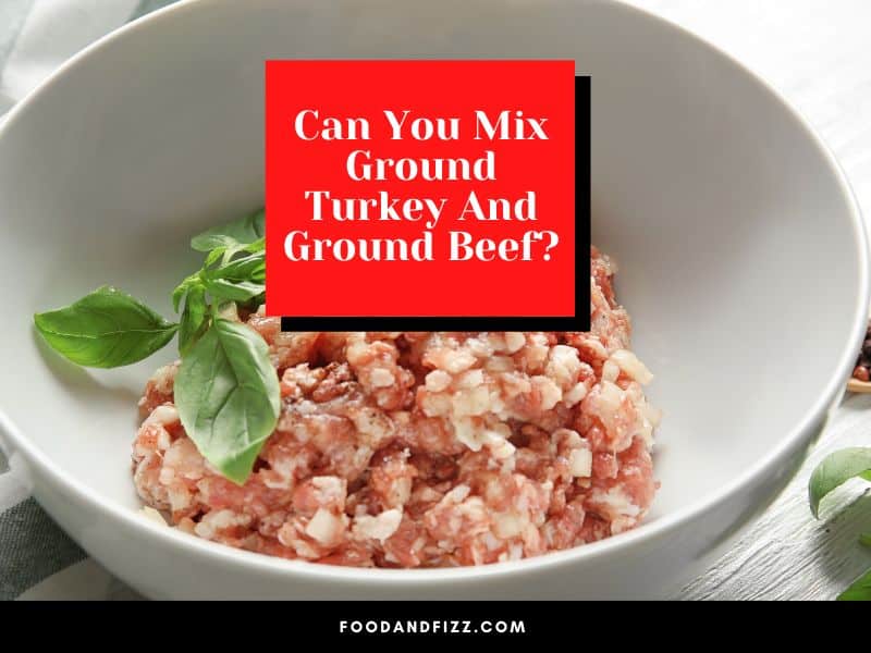 Can I Mix Ground Beef and Ground Turkey
