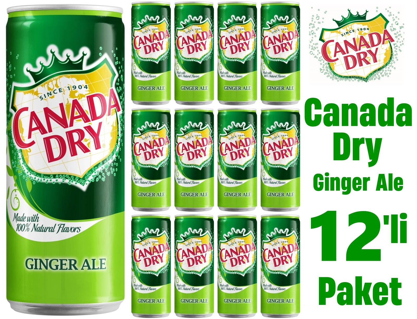 How Much Ginger in Canada Dry Ginger Ale