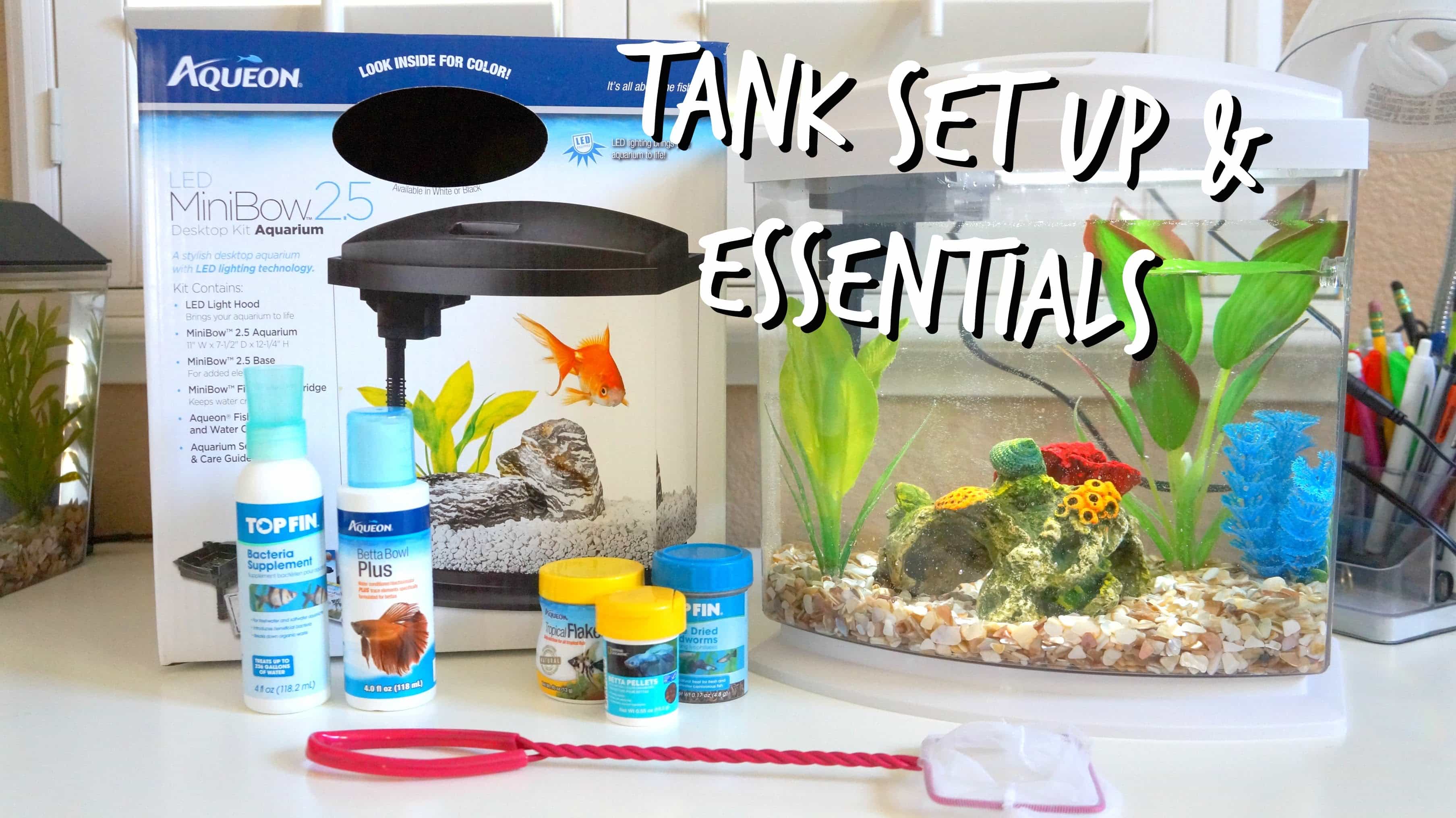 What Water Should I Use for My Fish Tank