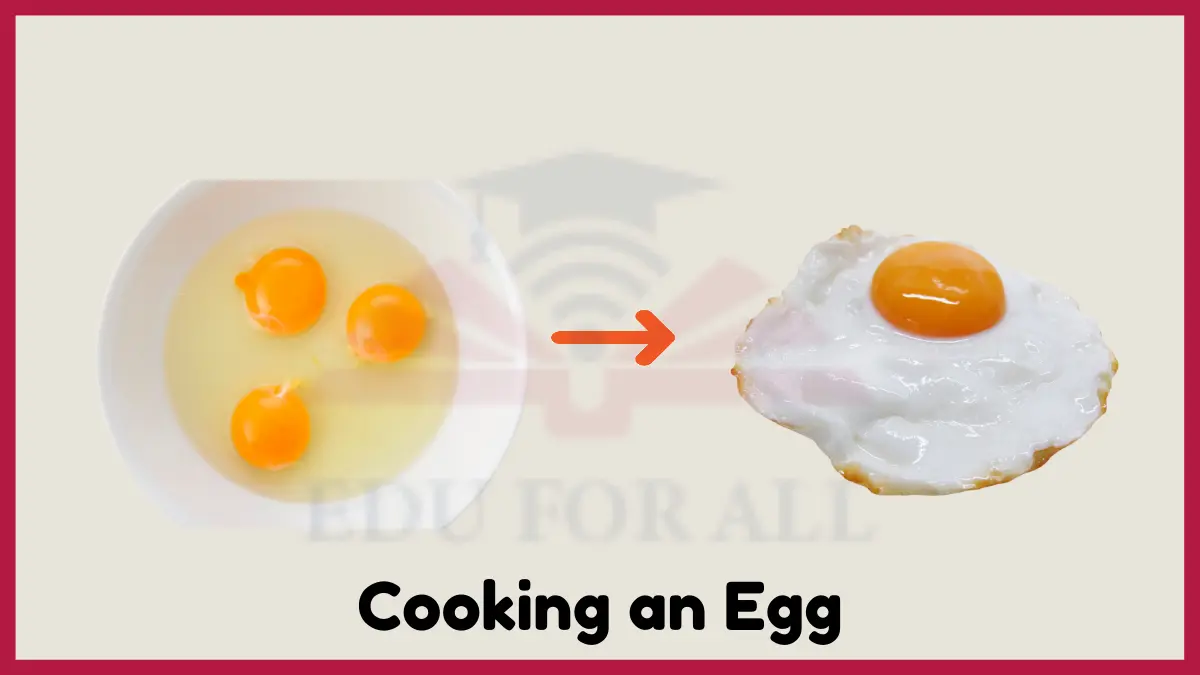 Chemical Change in Cooking an Egg
