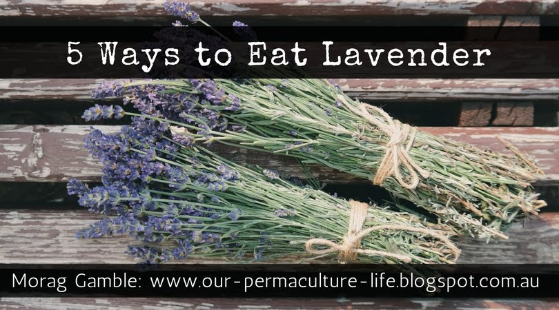 Can You Eat English Lavender