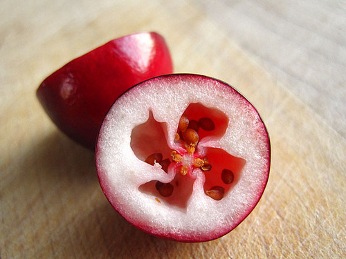 What Does the Inside of a Cranberry Look Like