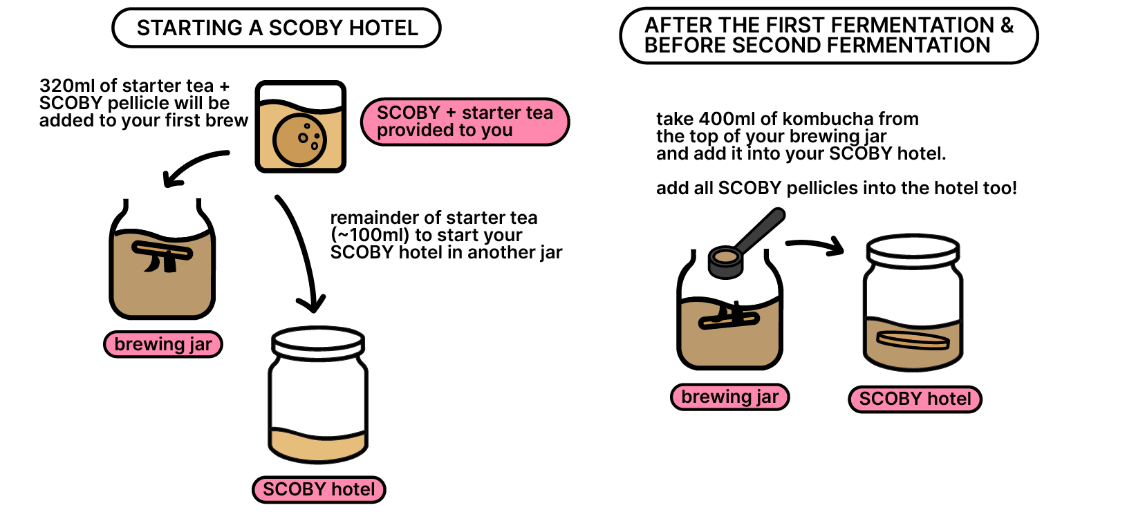 How to Start Scoby