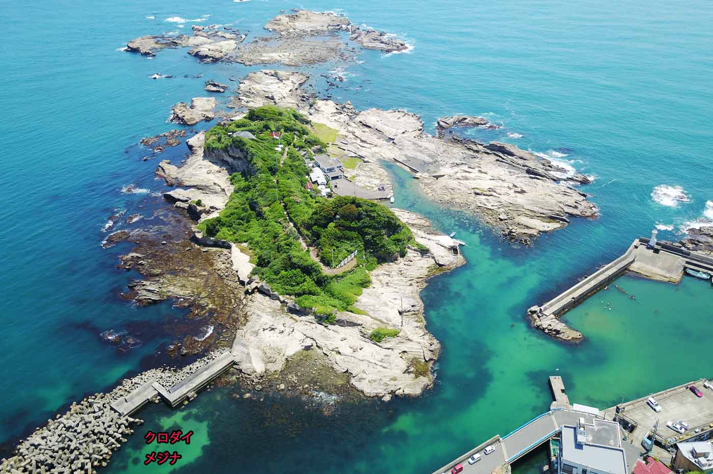 鴨川の秘島「仁右衛門島」徹底解剖！手漕ぎ渡し船と源頼朝伝説の真相