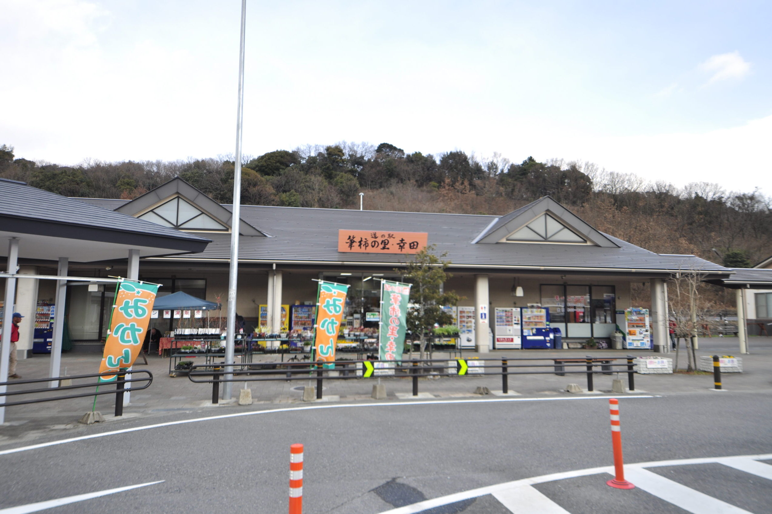 筆柿の里幸田の絶品スイーツと直売所！混雑回避ルートも徹底解剖