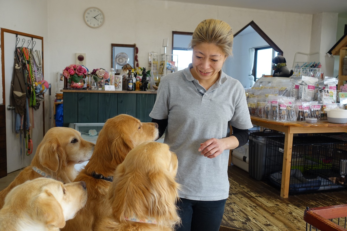 保護犬カフェの実態と評判は？料金や譲渡条件・トラブル対策を徹底解説