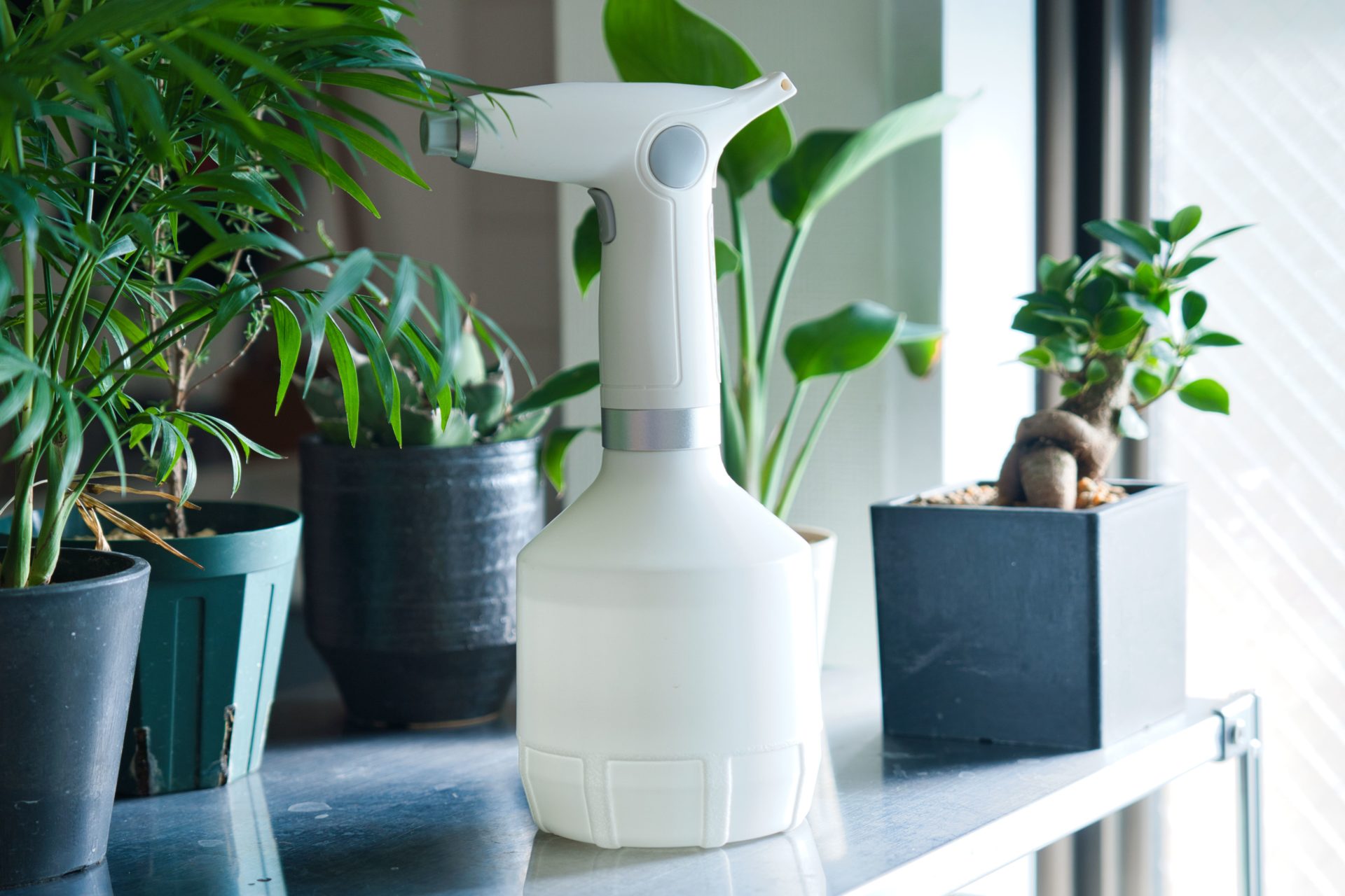 観葉植物の葉水で枯れる衝撃の真相！プロ推奨の微細霧吹き徹底比較